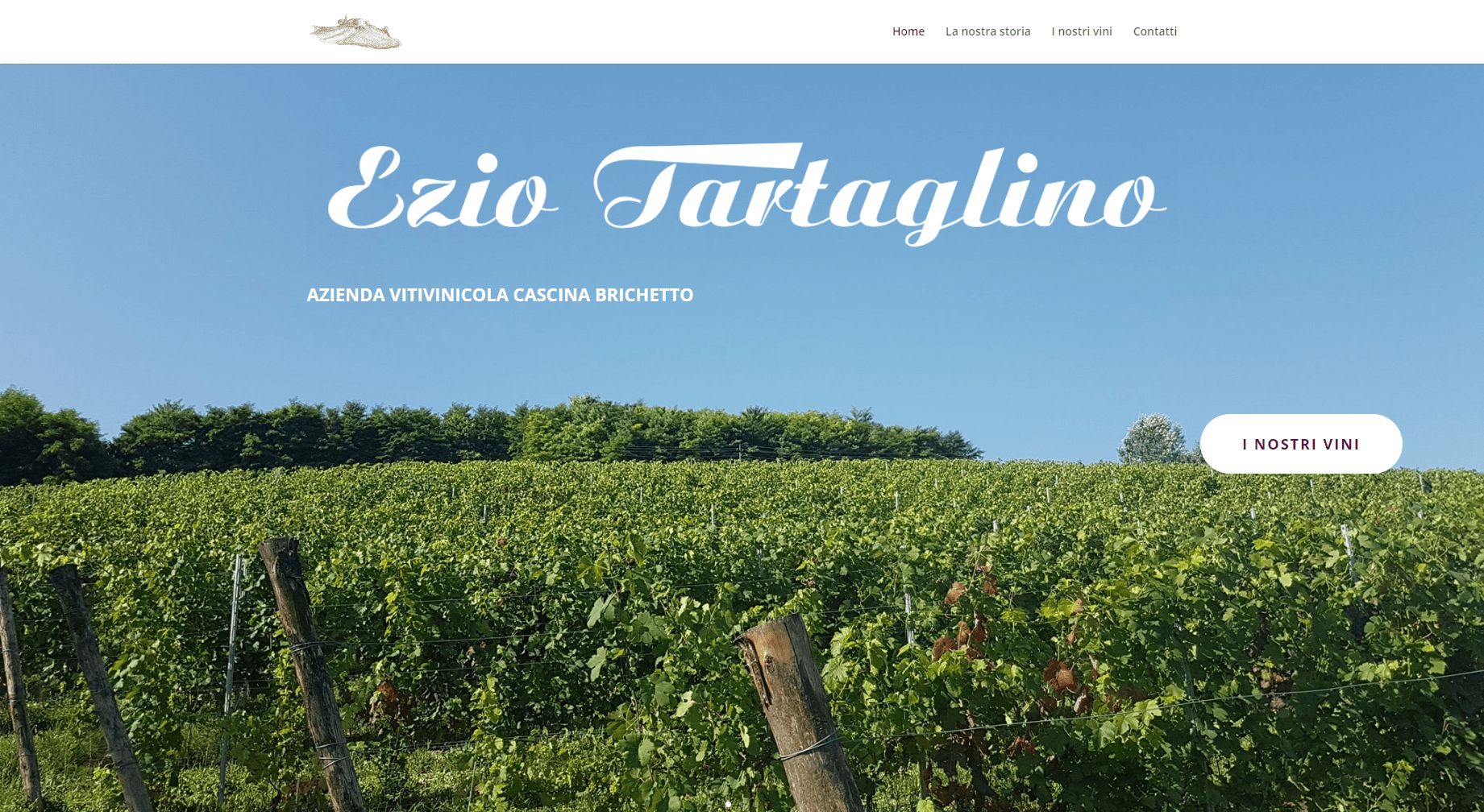 ScreenShot del sito web dell'azienda vitivinicola di Asti CascinaBrichetto visto da computer