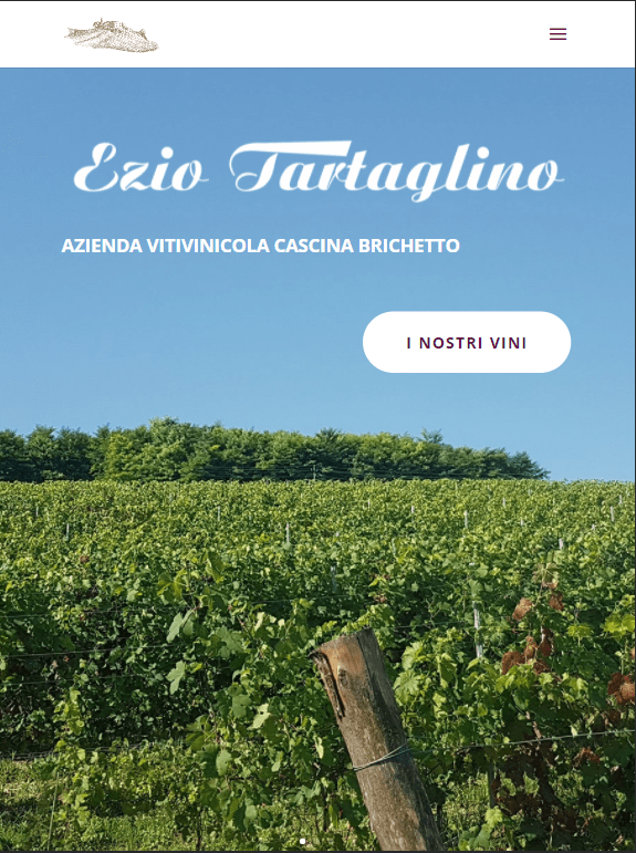 ScreenShot del sito web dell'azienda vitivinicola Astigiana CascinaBrichetto visto da Ipad