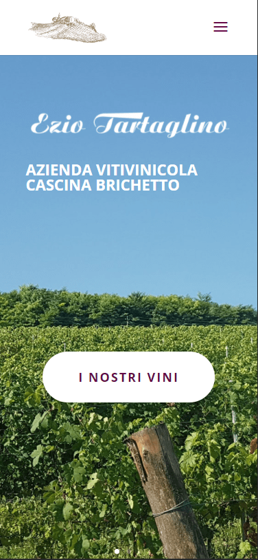 ScreenShot del sito web dell'azienda vitivinicola Astigiana CascinaBrichetto visto da un cellulare